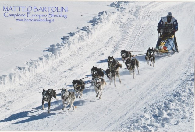 Sleddog, il campionato europeo ha la ‘c’ aspirata: podio d’oro al fiorentino Matteo Bartolini