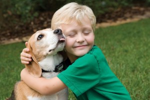 Non sempre al cane piace essere abbracciato: si sente dominato