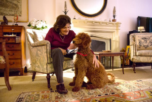 Il cane Harry, qui con la sua umana, si è ormai ristabilito