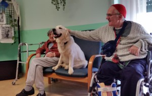 Morto avvelenato Jazz, il cane-infermiere degli anziani di Meconico. Ldnc invoca provvedimenti immediati