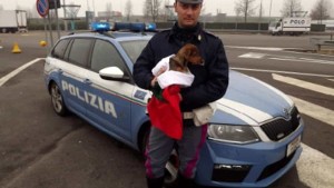 lanciato in autostrada