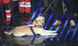 Corto accomodato sul palco dell'Ariston