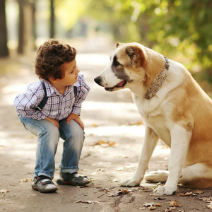 Il volto del bimbo è all'altezza della bocca del cane