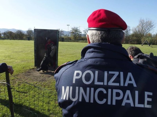 Hashish nei giardini della scuola: la scovano Akron e Devil, detective a quattro zampe