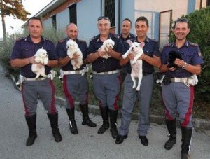 carabinieri-cuccioli