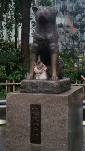 La statua davanti alla stazione e il gatto che quotidianamente vi staziona