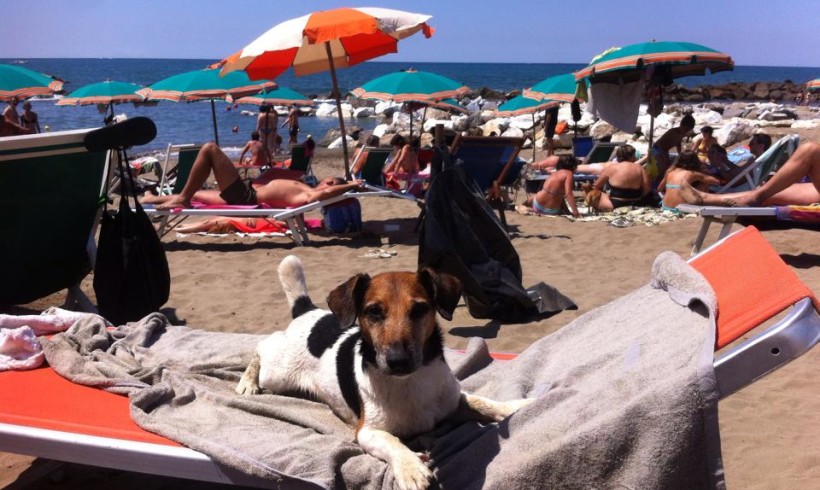 Cani in spiaggia: nel Ravennate aumentano le possibilità. Con buon senso e rispetto si può