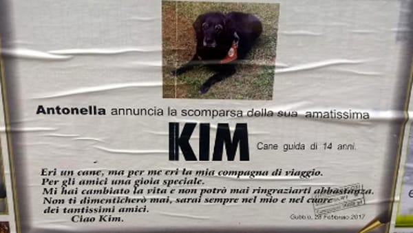 Un necrologio per il cane guida Kim: “Mi hai cambiato la vita, non ti dimenticherò mai”