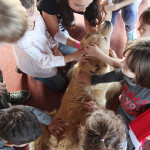 petcare_bambini scuola