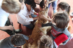 petcare_bambini scuola