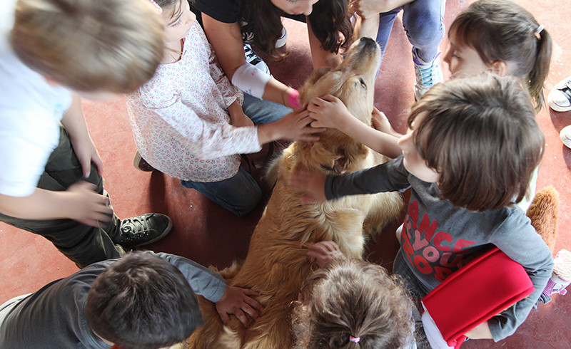 A Fucecchio amore e rispetto per i cani si imparano in classe col progetto “Un cane per amico”