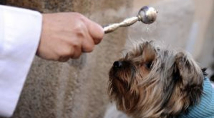 Oggi è Sant’Antonio Abate, protettore degli animali domestici: ed ecco il perché