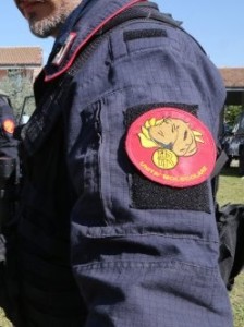 Lo stemma di queste unità cinofile dell'Arma dei Carabinieri