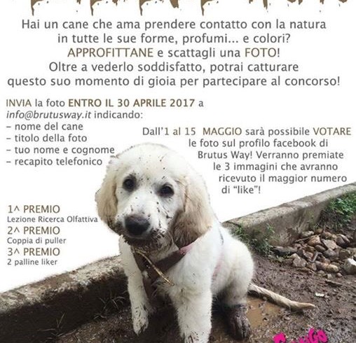 Il cane si ruzzola nelle peggio cose? E’ “Felicemente sporco”, il concorso fotografico Brutus Way che corre sui social