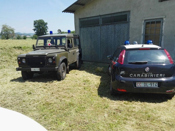 Canile lager scoperto nel Vicentino: liberati 11 cani al buio, senza cibo e acqua, tra i loro escrementi