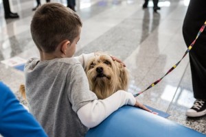 bambini-pet-therapy