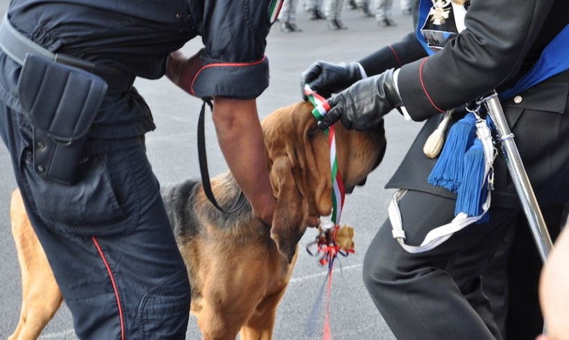 Un osso tricolore per decorare il cane carabiniere: a Firenze encomio speciale per le unità cinofile dell’Arma