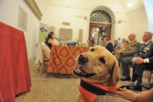 La presentazione dell'iniziativa in Campidoglio. Foto: Abbaiare a Roma / Facebook