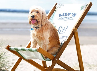 L’happy hour da cani: a Ravenna c’è, è il Doggy Beach Bar