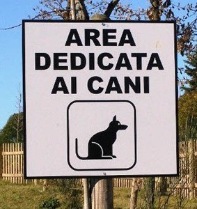 area-cani