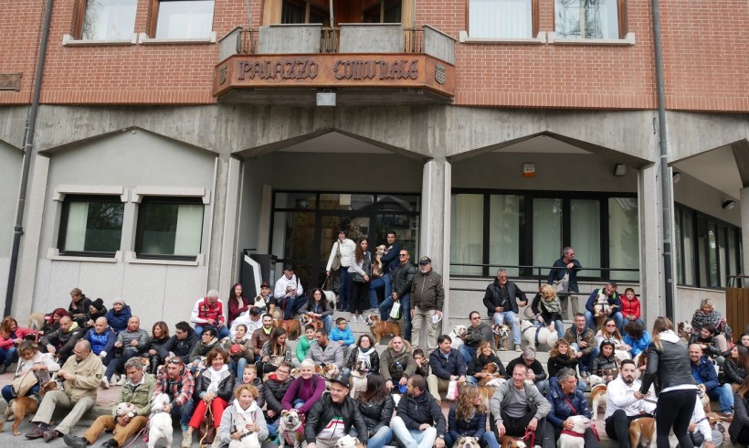 Bulli alla riscossa, un successo il XV raduno degli ‘inglesi’ a Bardonecchia