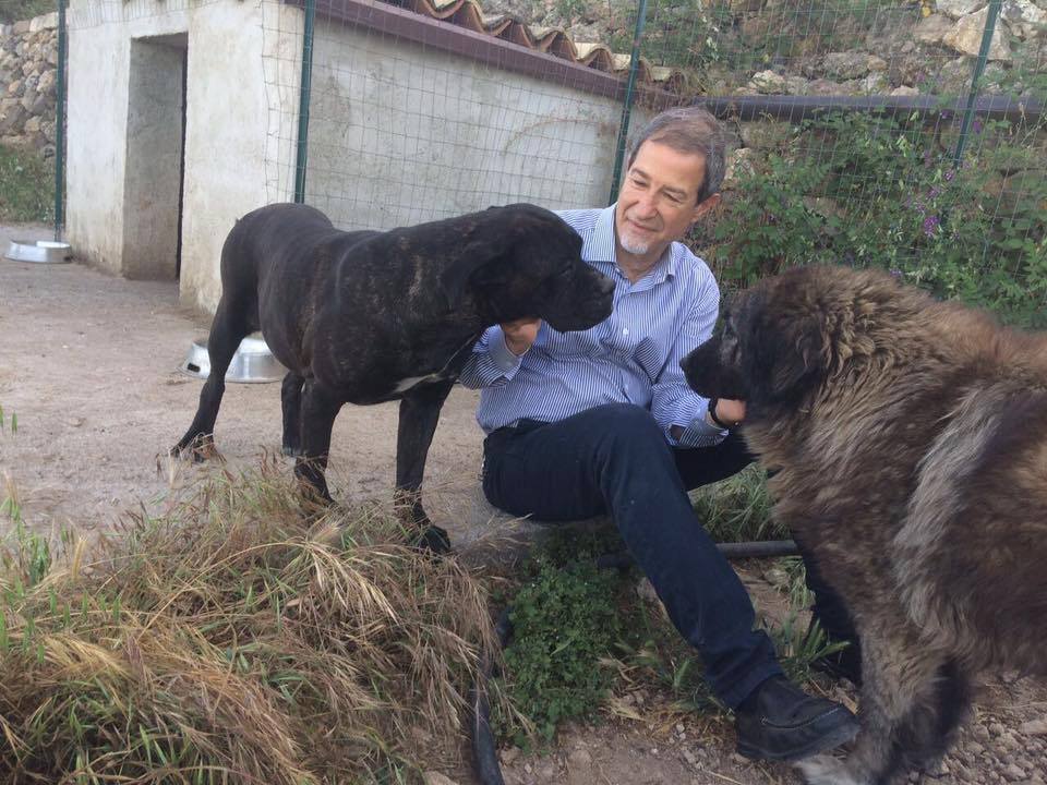 Risultati immagini per foto di nello musumeci