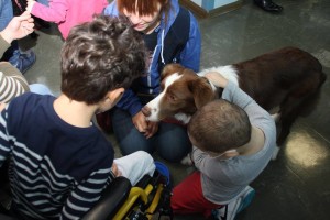 Eddie 'al lavoro' in ospedale