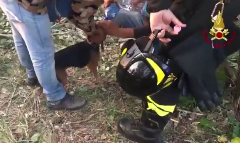 Cagnolino nella faglia, due giorni per estrarlo da sotto terra. Il video dei soccorsi