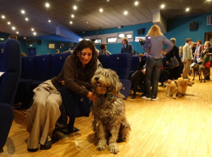 cinema-torino-a