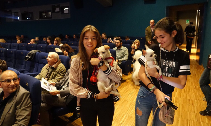 Cani al cinema! Protagonista Rin Tin Tin nella proiezione a 6 zampe di Torino