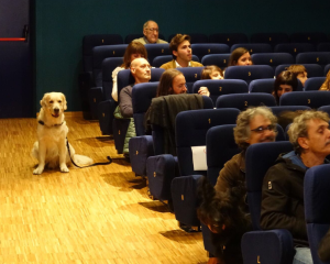 cinema-torino