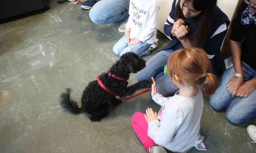 Terapeuti con la coda per i piccoli pazienti di Rimini: sono Eddie e Giotto, in corsia da oggi