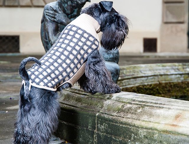 Una simbiosi alla moda nel nuovo brand Emma Firenze. Per cani e umani di stile