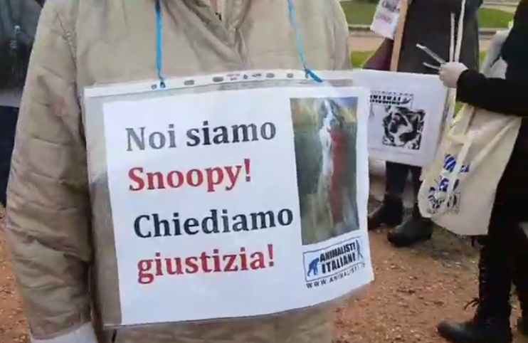 Livorno in corteo per Snoopy, il cane ucciso sul balcone di casa sua