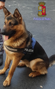 Ares in divisa, pronto all'azione