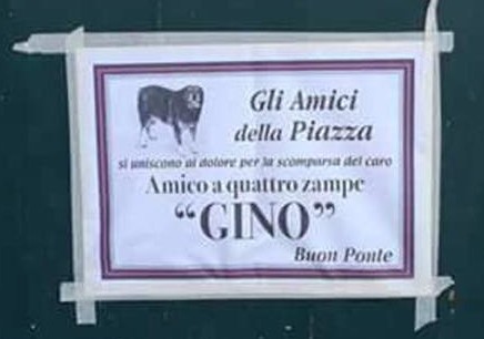 A Campi Salentina si è spento Gino, “il cane di tutti”