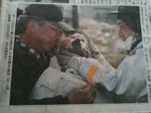 cane-terremoto-giappone