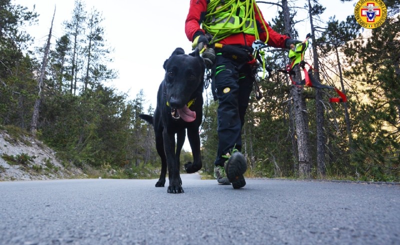 Cani da ricerca, 12 nuovi brevetti a quattro zampe rilasciati dal Soccorso Alpino