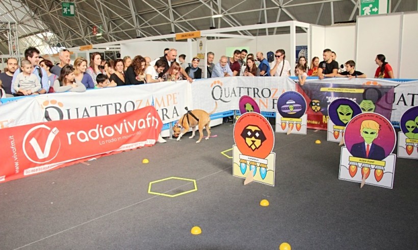 SuperDog alla presa (pacifica) di Quattro zampe in Fiera a Milano