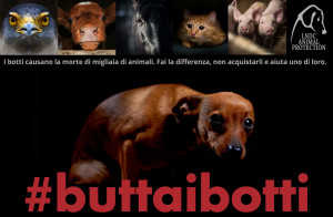 buttaibotti