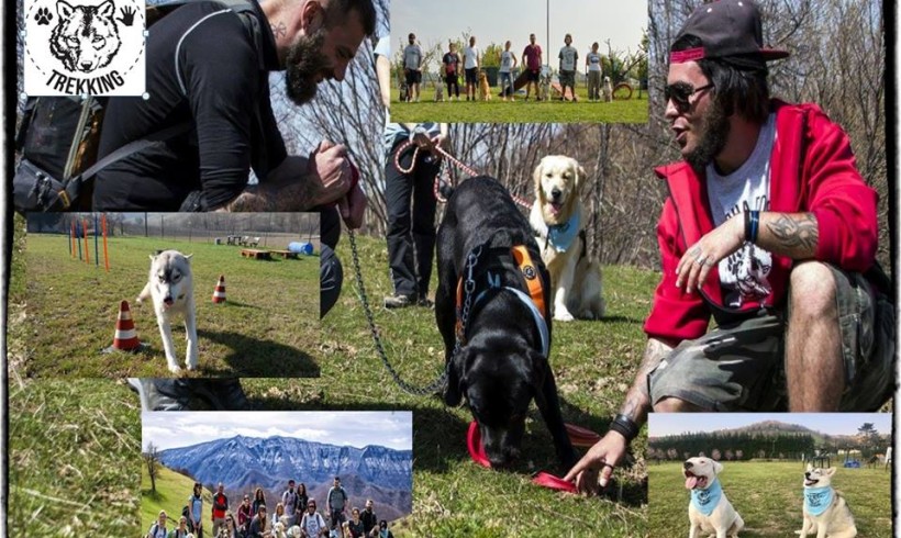 Educatori! Istruttori! AlphaDog sta cercando voi