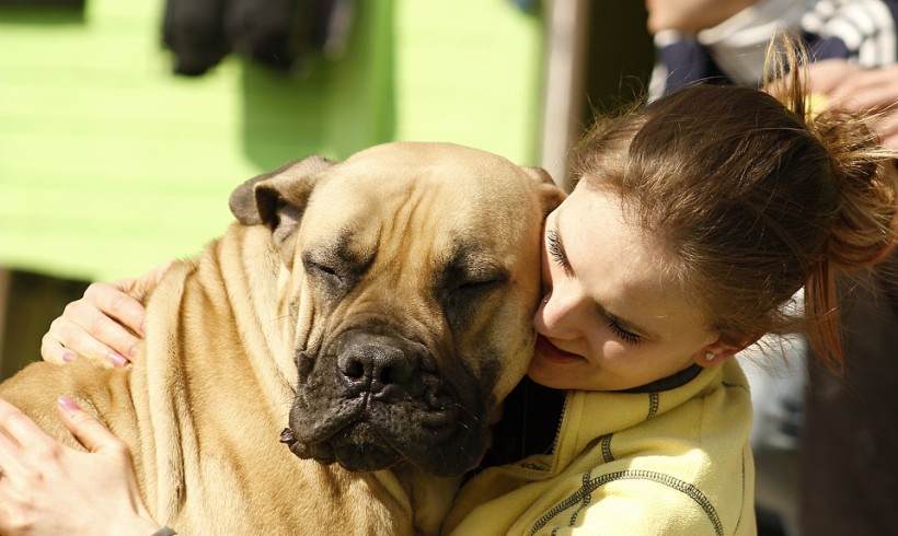 Lessicario cinofilo: si fa presto a dire dog sitter! Chi è e che fa?