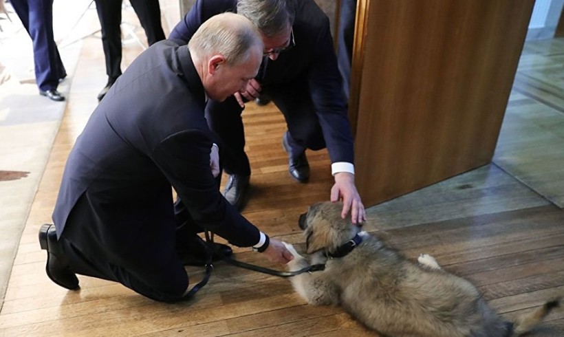 Cani premier adottati o in dono, nuovi amici con la coda per Juncker e Putin