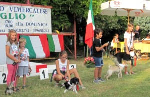 Tra i golden  dog c'è anche Pupo, ospite del rifugio di Enpa Monza e Brianza