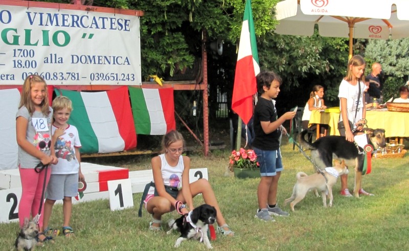 I cani d’oro sfilano a Vimercate: giunge alla XV edizione il Golden Dog di Moldora. Si premia anche il cane ‘Panzarotto’