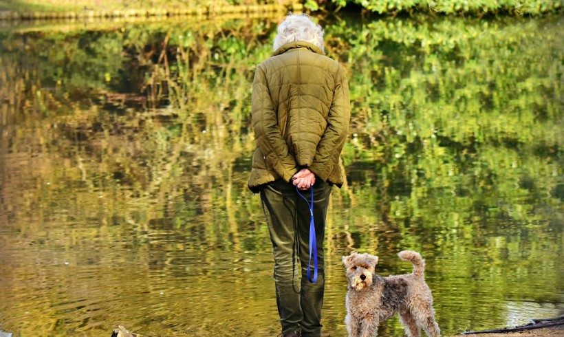 Cagnolino si perde col suo umano sugli Appennini