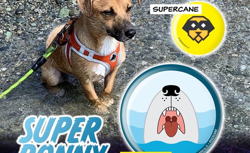 SuperDog My Pet’s Hero allo scatto 4.0, arrivano le Challenge: verso la punta dello Stivale ed oltre!