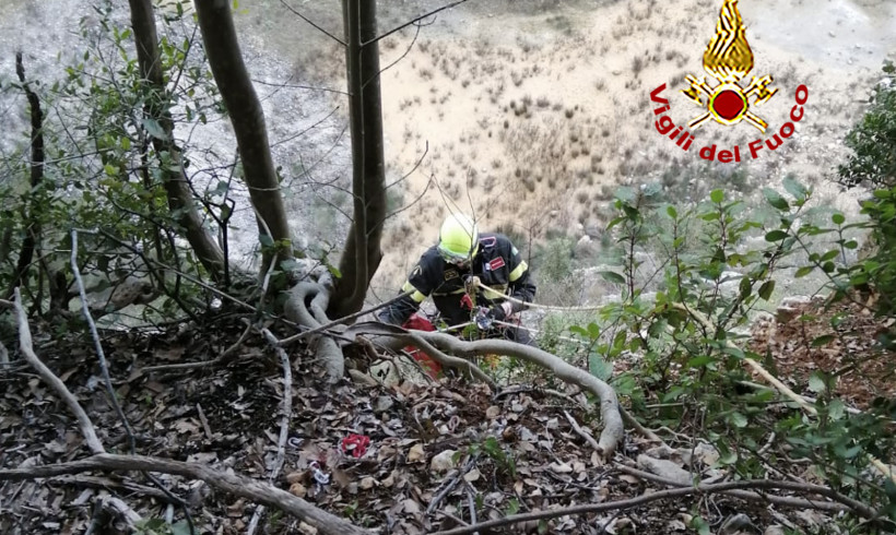 Precipita nel dirupo e resta bloccato. Per il cane arrivano i vigili del fuoco