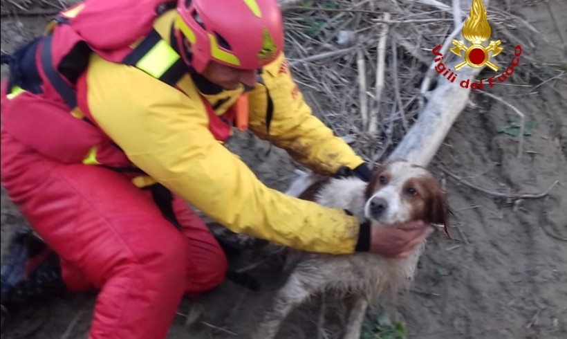 Precipita nel fiume e lo trascina la corrente, per il cane arrivano i pompieri