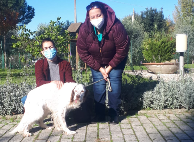 Una famiglia per Bibe, adottato dal rifugio il cane più anziano di Scandicci